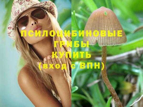 гидропоника Арсеньев