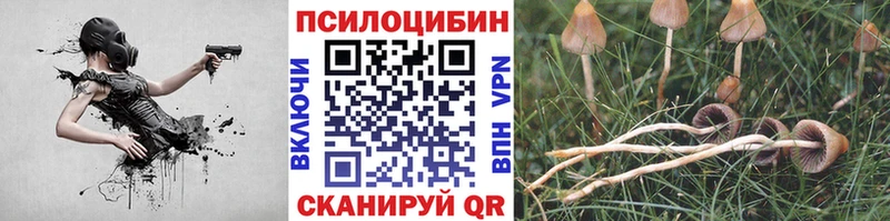 ссылка на мегу как зайти  как найти наркотики  Цивильск  Галлюциногенные грибы Magic Shrooms 